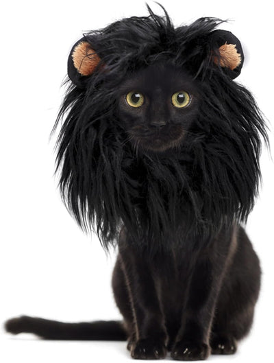 Lion Mane Wig for Cats, Funny Pet Cat Costumes for Halloween Christmas, Furry Pet Clothing Accessories (Size M, Black)