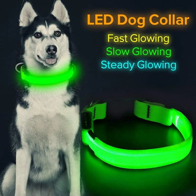 Led Lighted up Dog Collar Flashing 100% Waterproof USB Rechargeable Pet Dog Safety Collar Glow in the Dark Light-Up Neck Loop GREEN(14.56IN-18.11IN)