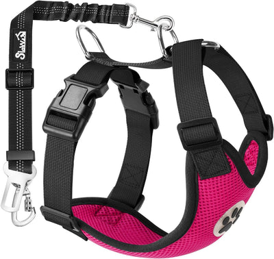 Dog Seat Belt Harness for Car, Dog Car Harness Adjustable Mesh Breathable & Dog Seatbelt Safety Tether with Elastic Bungee for Small Medium Large Pets(Fuchsia, Double Clip, M)